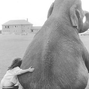 Meet your Posher, Beth